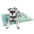 KindTail Crate pad green dog bed with grey dog 