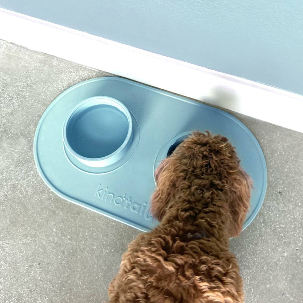 Portabowls Portable travel home dog bowl set