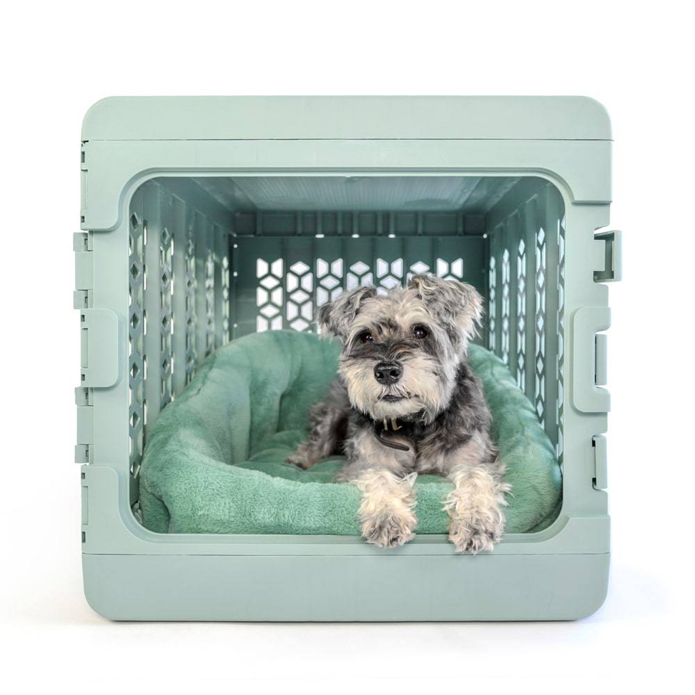 KindTail  PAWD® Lounger | Pet Crate luxury bed in green inside a green crate
