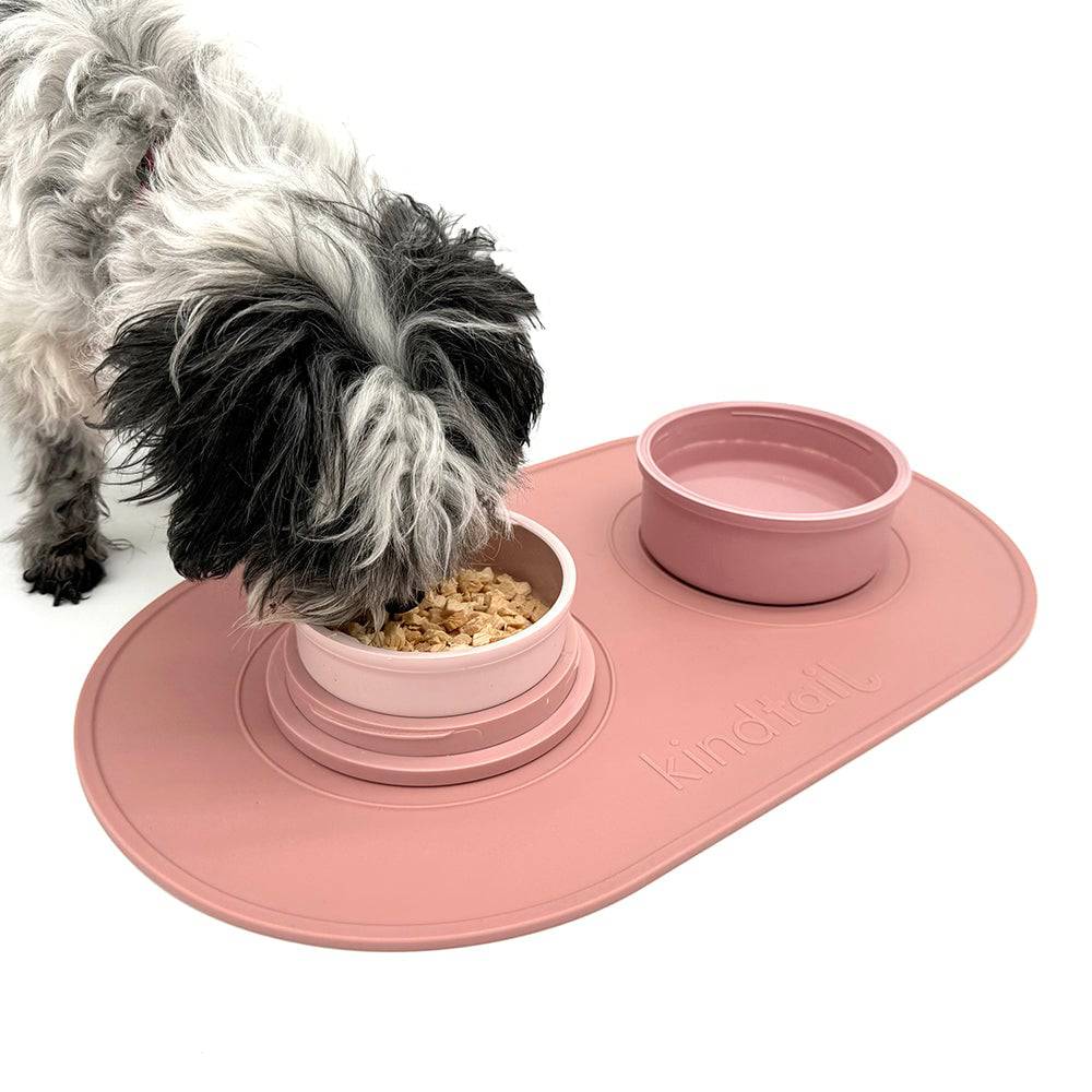 Portabowls Meal Time Bundle - KindTail