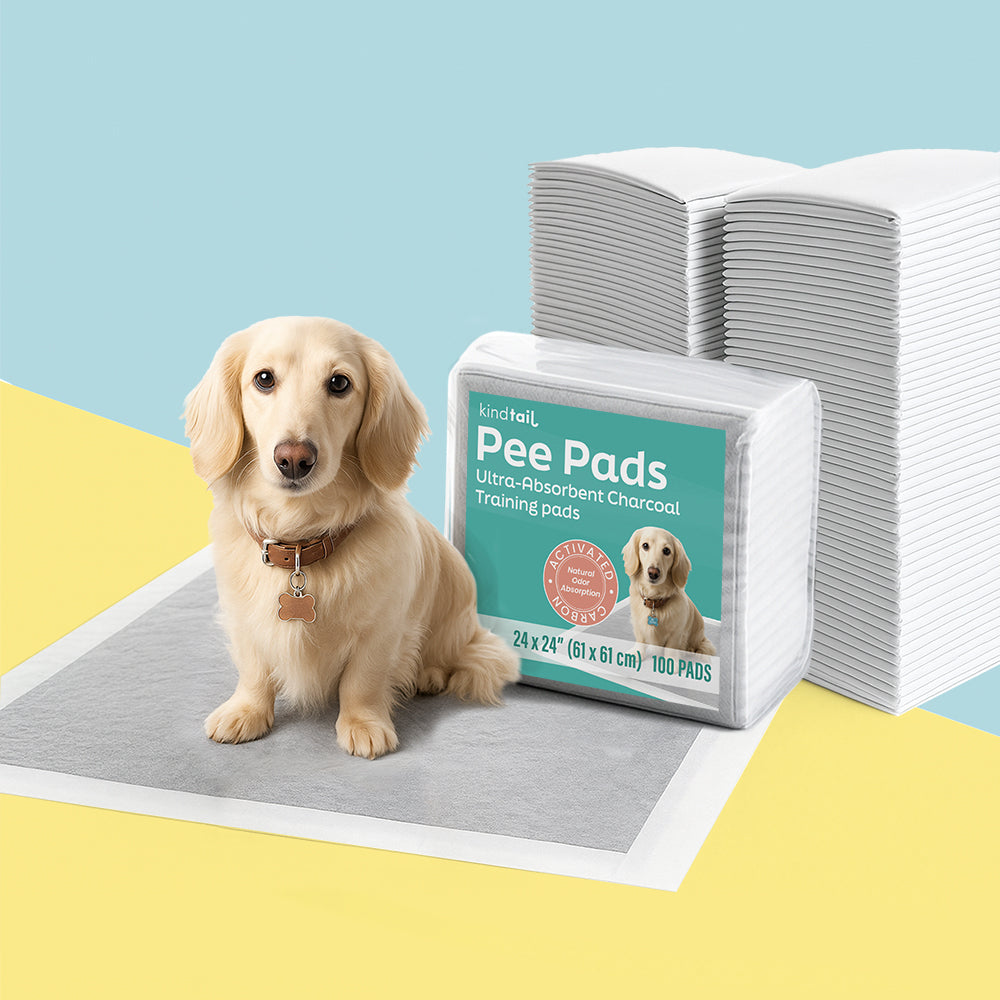 Odor-Filtering Charcoal Pee Pads KindTail