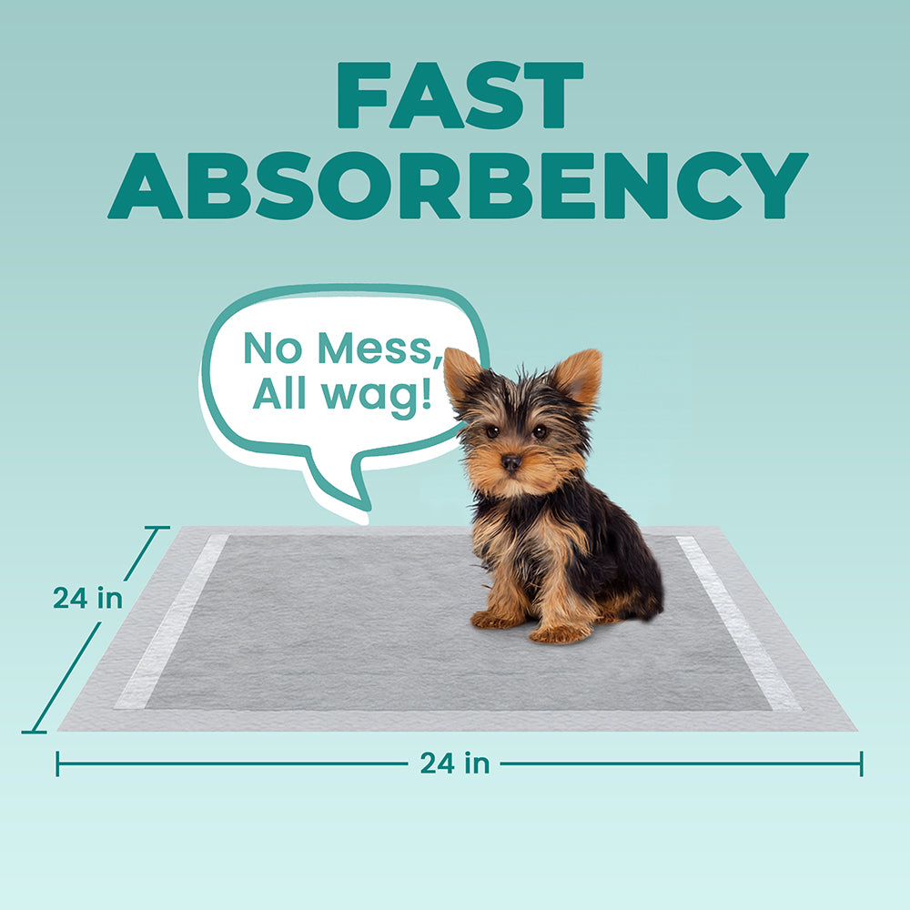 Odor-Filtering Charcoal Pee Pads - KindTail