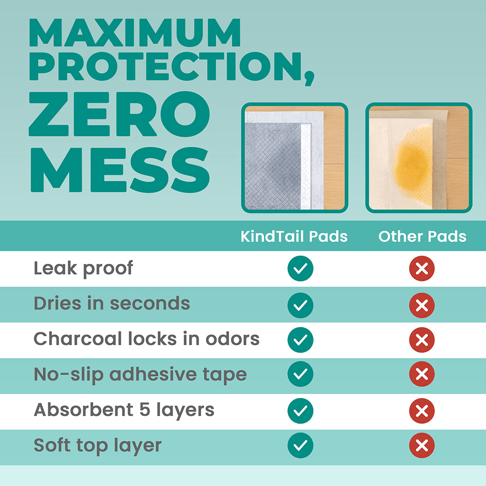 Potty Training Bundle - KindTail