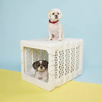 White medium PAWD Dog Crate by KindTail,  made of durable plastic for pets. White dog on top and another dog inside the crate