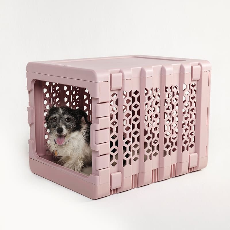 KindTail PAWD® | Modern Collapsible Plastic Dog & Pet Crate in medium pink with one black and white dog inside