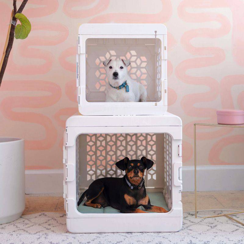 KindTail PAWD® | Modern Collapsible Plastic Dog Crate in small and medium in white stacked with black and white dog inside