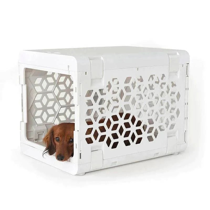 KindTail PAWD® | Modern Collapsible Plastic Dog & Pet Crate in small white with a brown dog inside