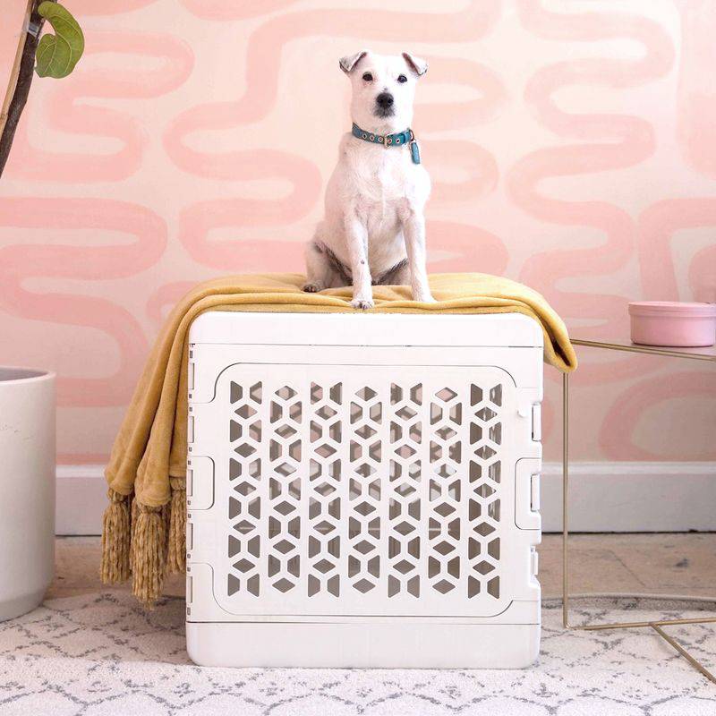 KindTail PAWD® | Modern Collapsible Plastic Dog & Pet Crate in white medium with white dog on top