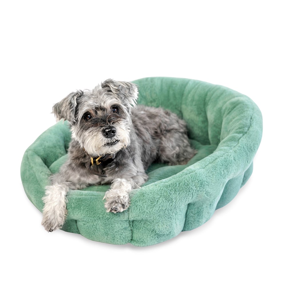KindTail Lounger Green dog bed with grey dog 
