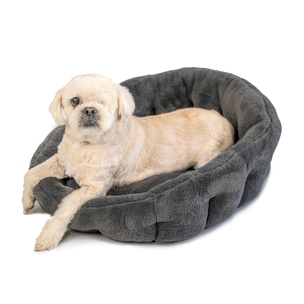 KindTail Lounger Grey dog bed with white dog 