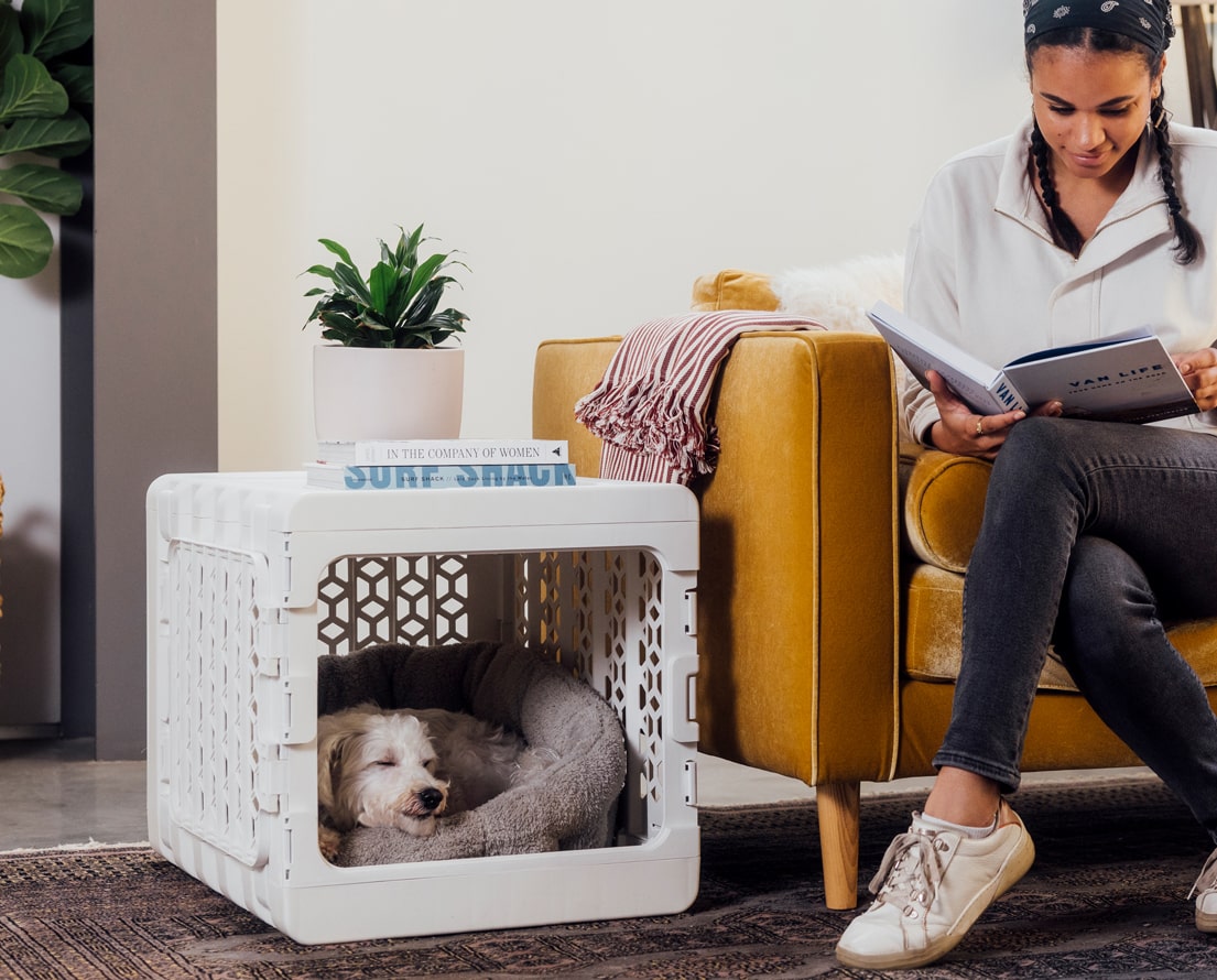 White dog sleeping in white dog crate next to the owner who's reading a book on the couch