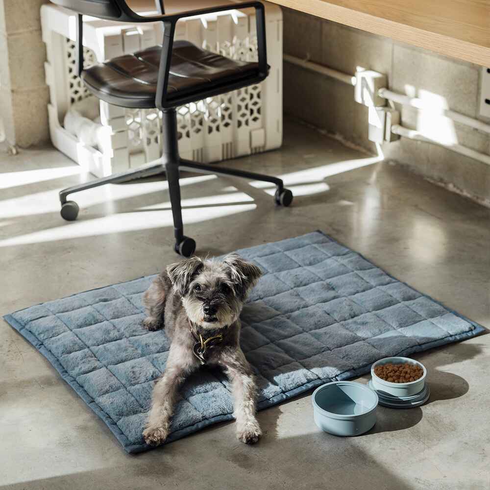 NomadNap - Travel & Portable Dog Bed - KindTail