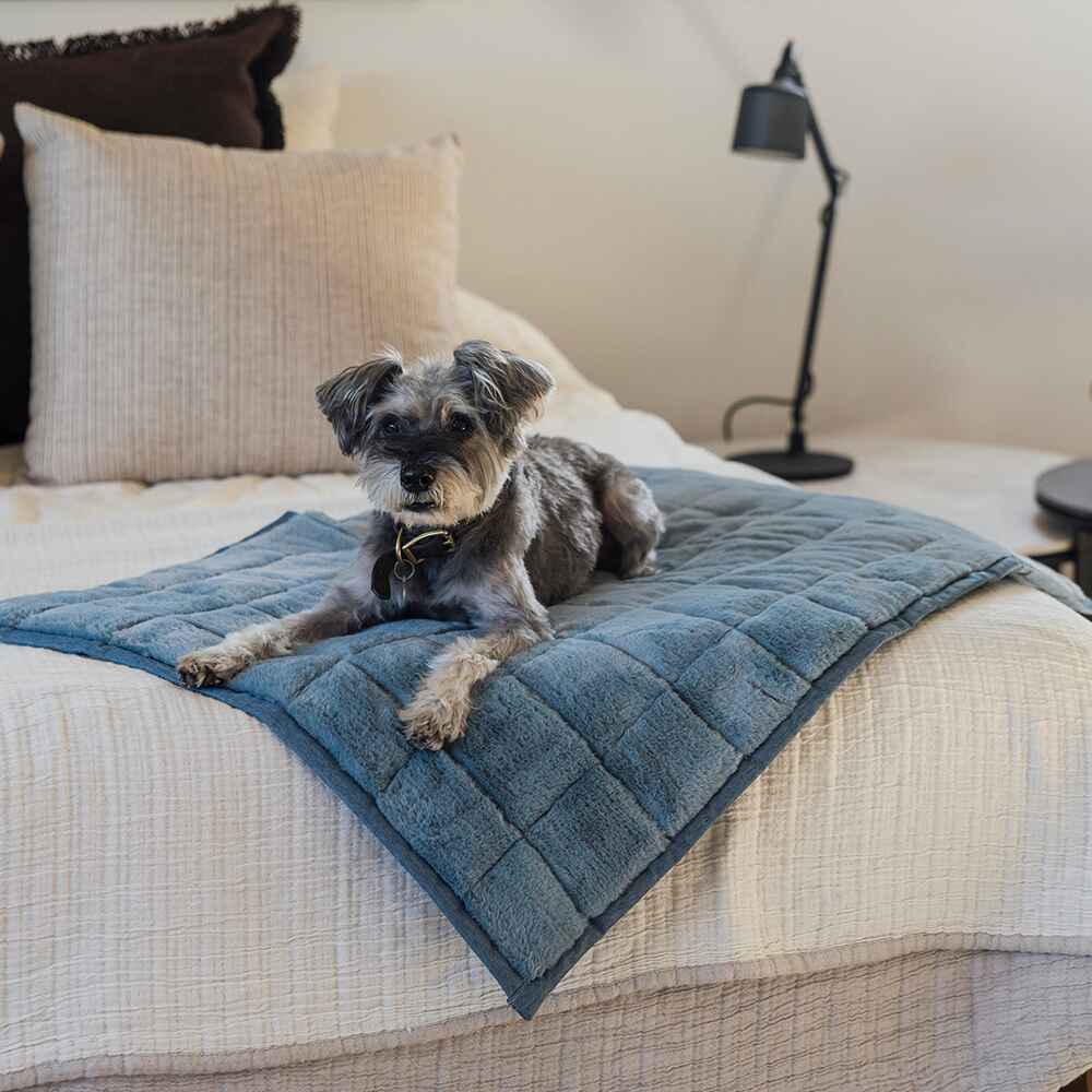 NomadNap - Travel & Portable Dog Bed - KindTail