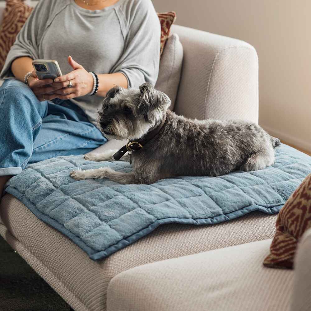 NomadNap - Travel & Portable Dog Bed - KindTail