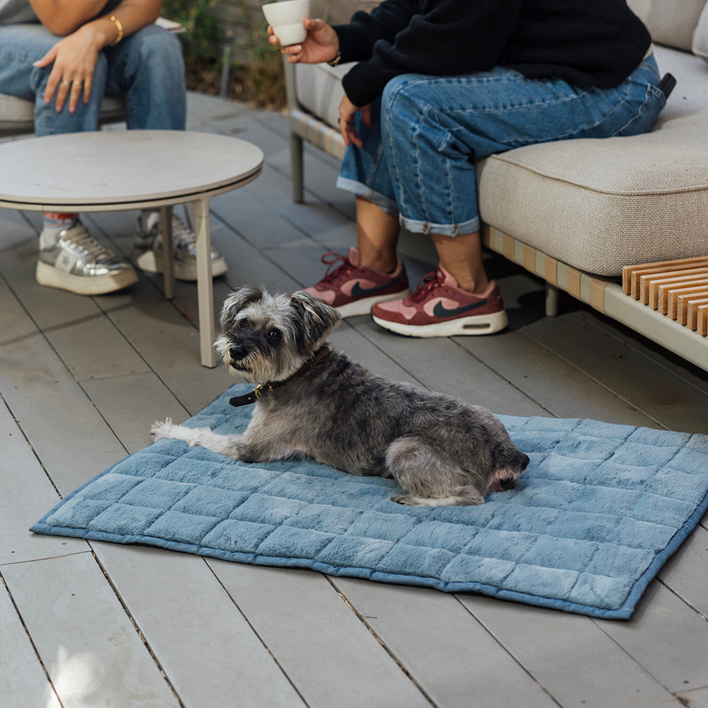 NomadNap - Travel & Portable Dog Bed® - KindTail