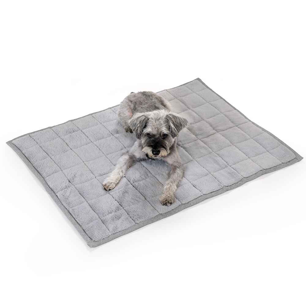 NomadNap - Travel & Portable Dog Bed - KindTail