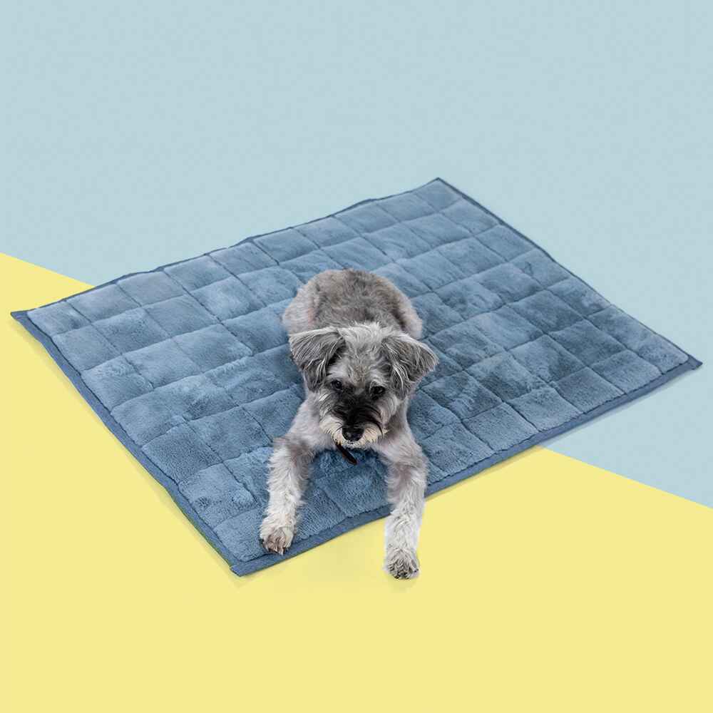 NomadNap - Travel & Portable Dog Bed - KindTail