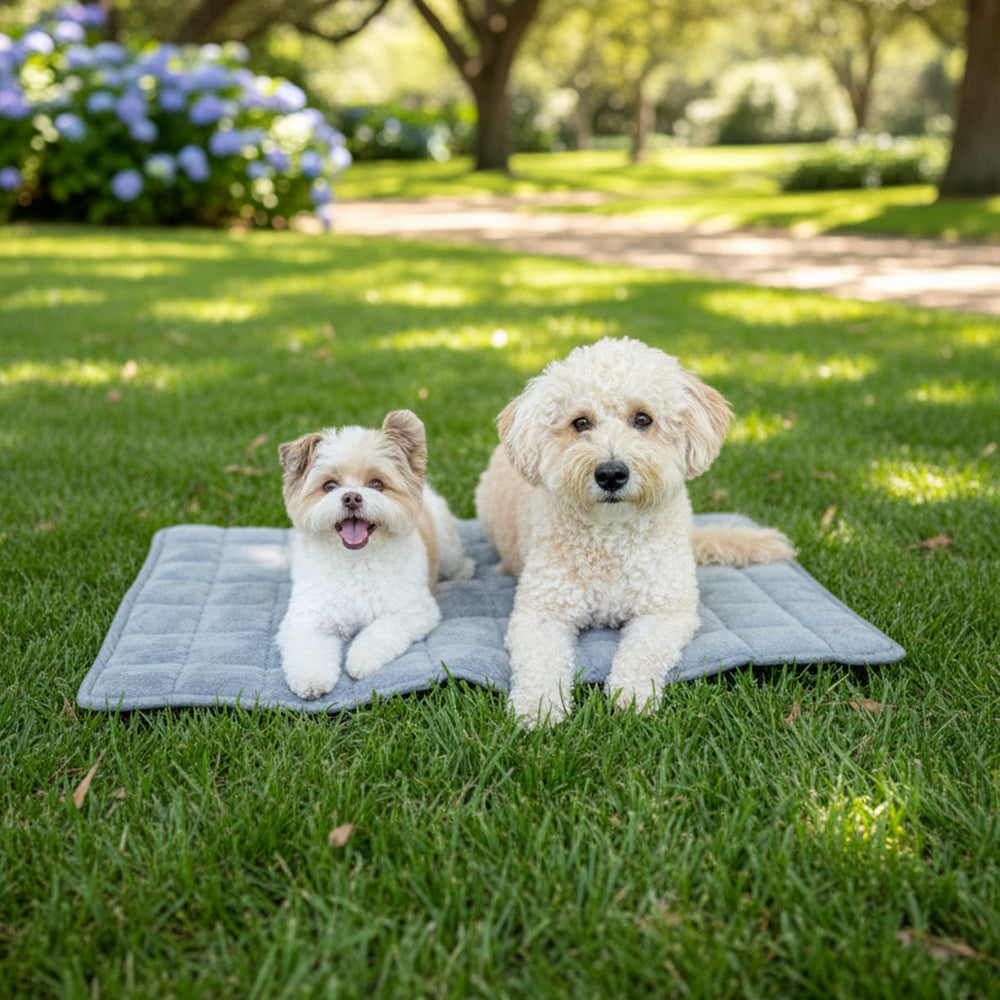 NomadNap - Travel & Portable Dog Bed - KindTail