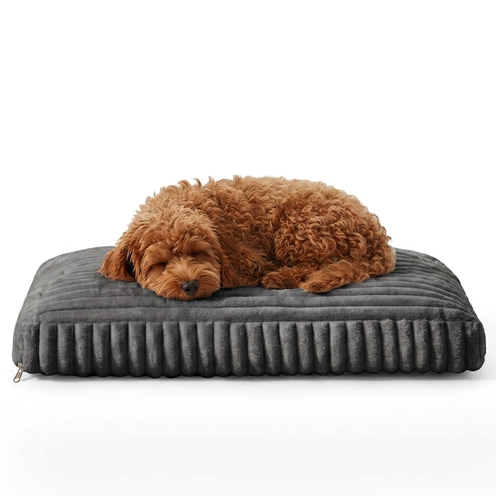 Q4 Orthopedic Crate Pad & Dog bed