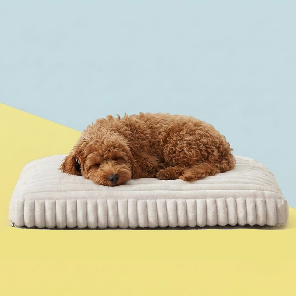 Q4 Orthopedic Crate Pad &amp; Dog bed