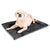 KindTail Crate pad dark grey dog bed with white dog 