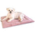 KindTail Crate pad pink dog bed with white dog 