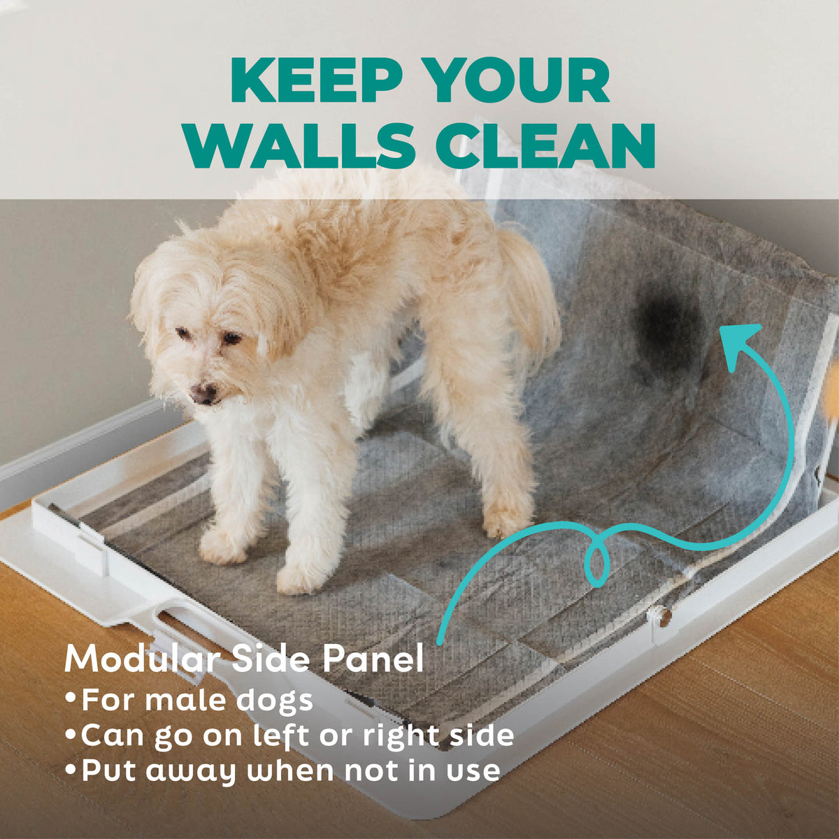 Potty Training Bundle - KindTail