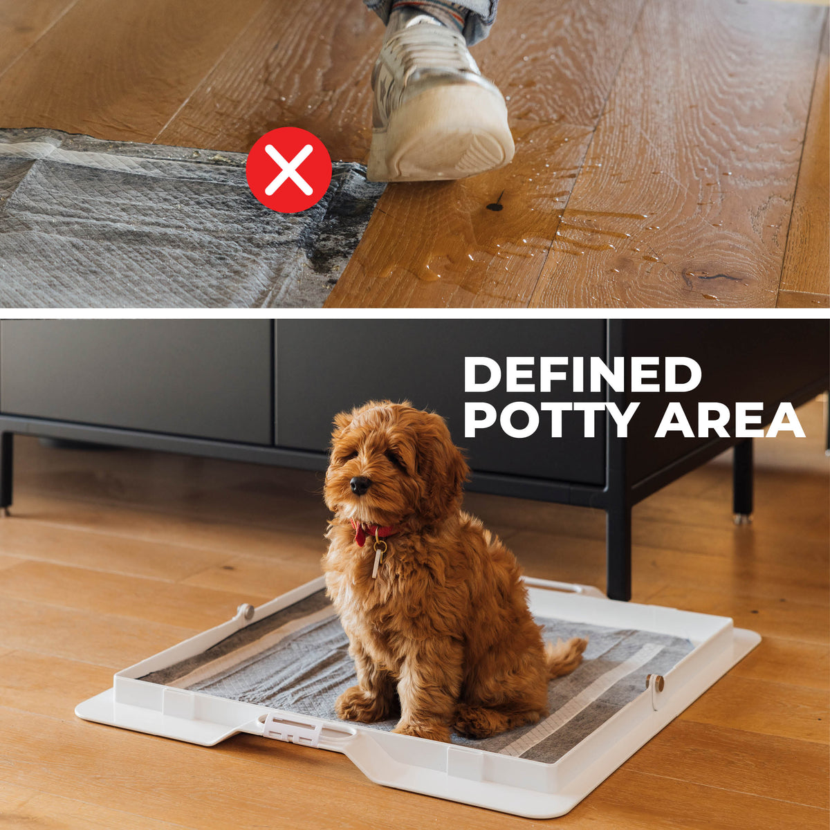 Potty Training Bundle - KindTail