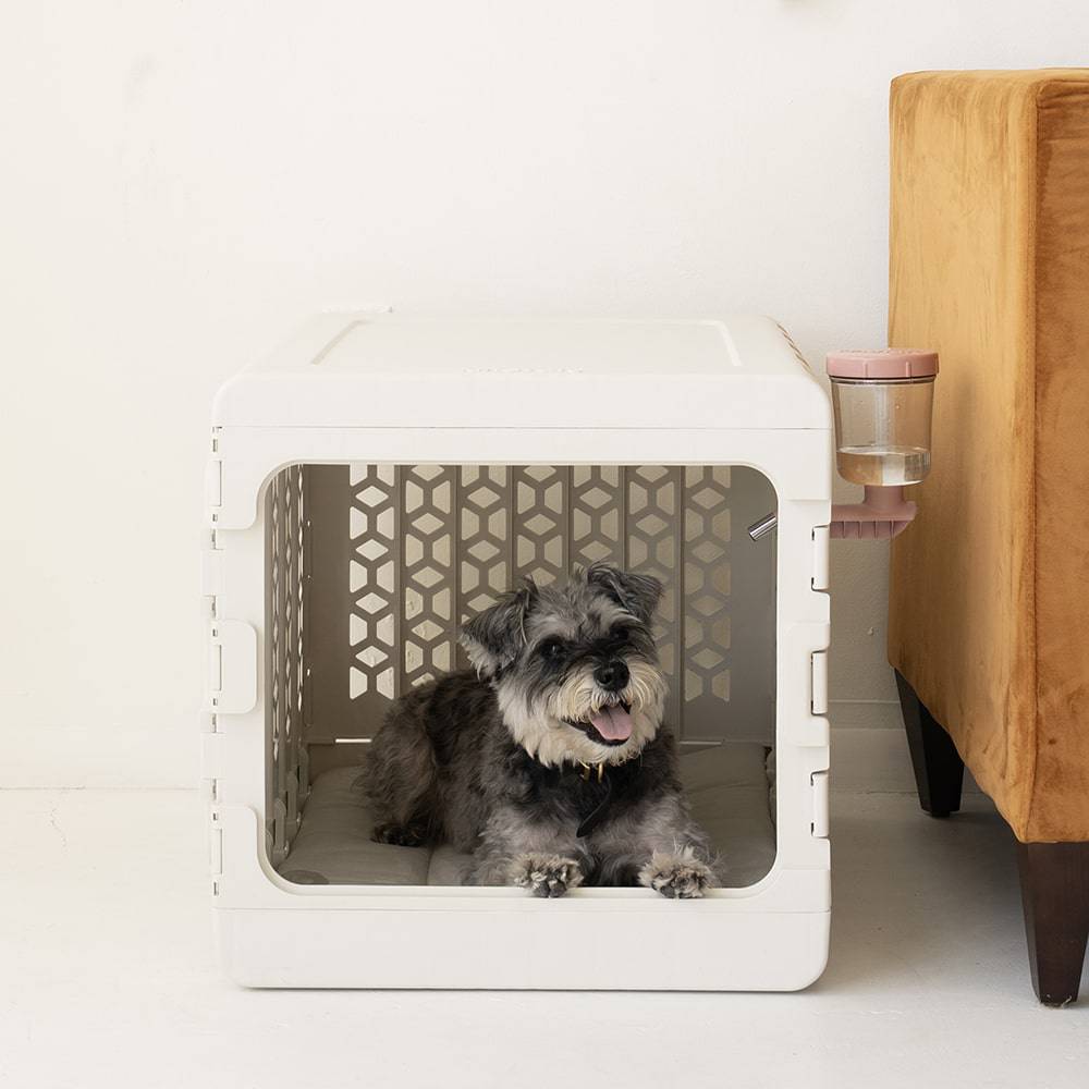 Pawdle Crate Water Bottle® - KindTail