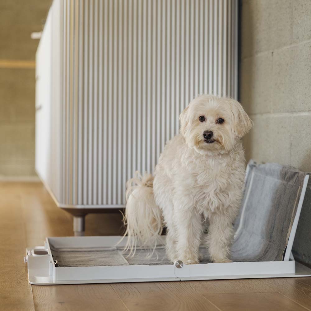 Pee PAWD® Pee Pad holder - KindTail