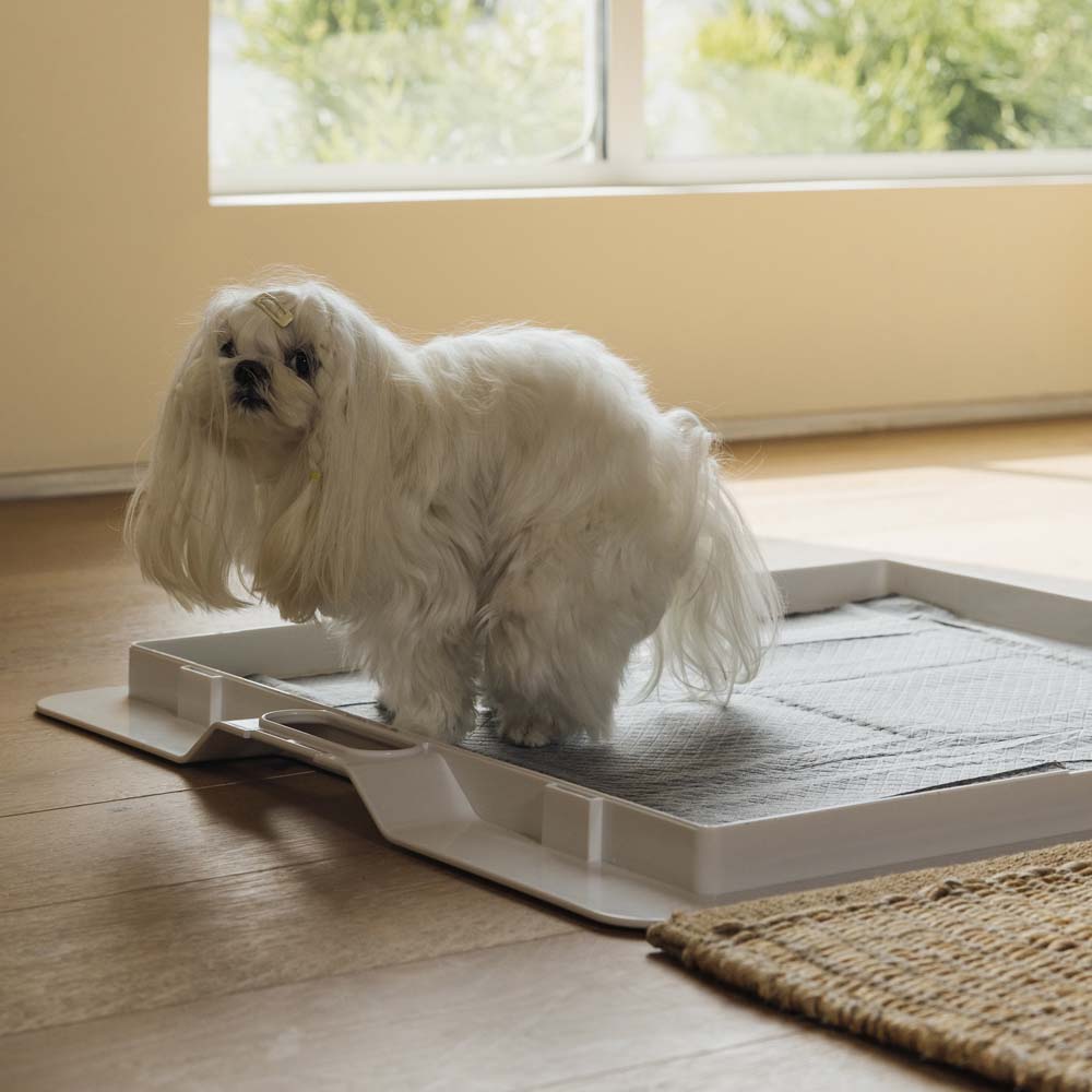 Pee PAWD® Pee Pad holder - KindTail