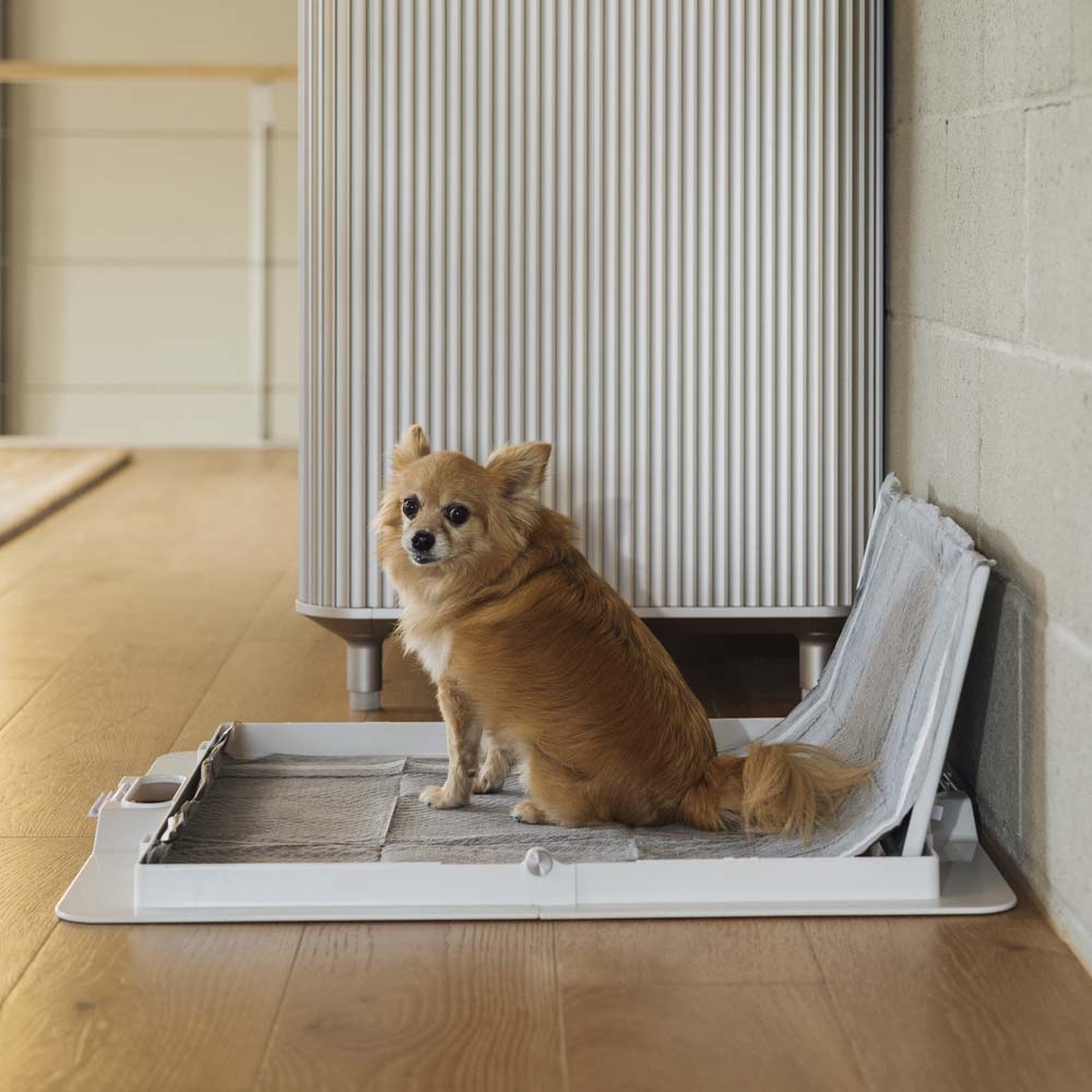 Pee PAWD® Pee Pad holder - KindTail