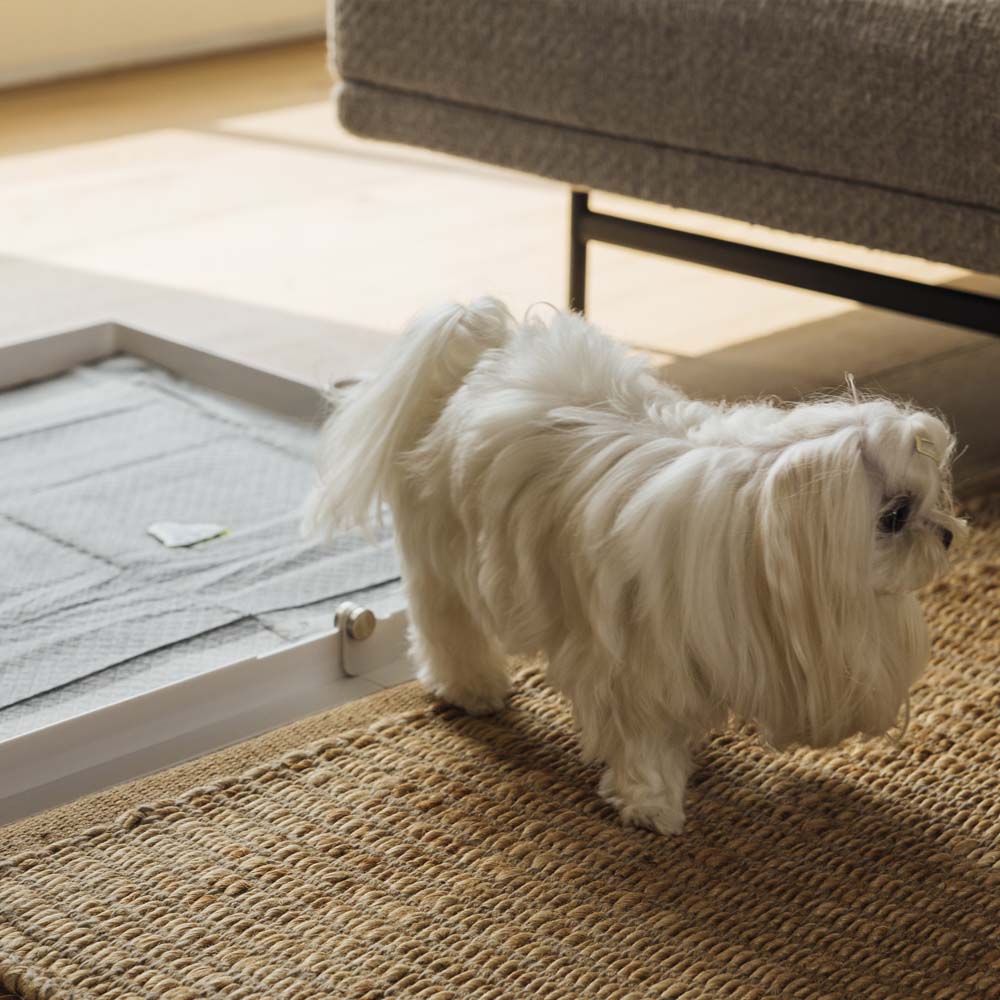 Pee PAWD® Pee Pad holder - KindTail