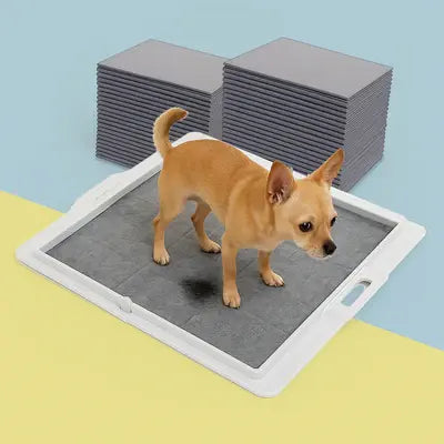 Potty Training Bundle