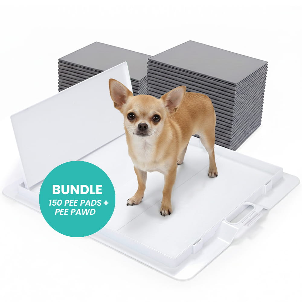 Potty Training Bundle