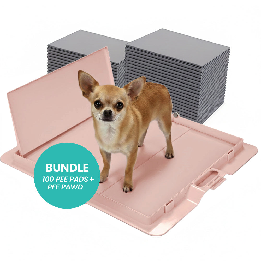 Pee PAWD® Pee Pad holder