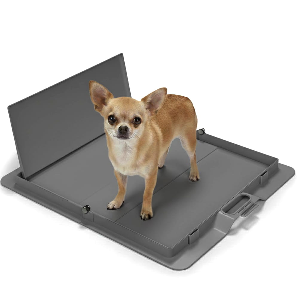 Gray Pee PAWD® dog potty training pee pad holder by KindTail, designed to securely hold training pee pads for dogs.
