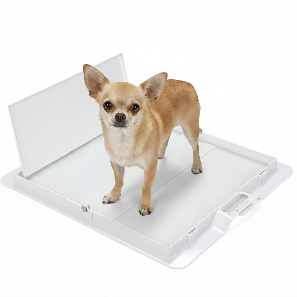 Pee PAWD® Pee Pad holder