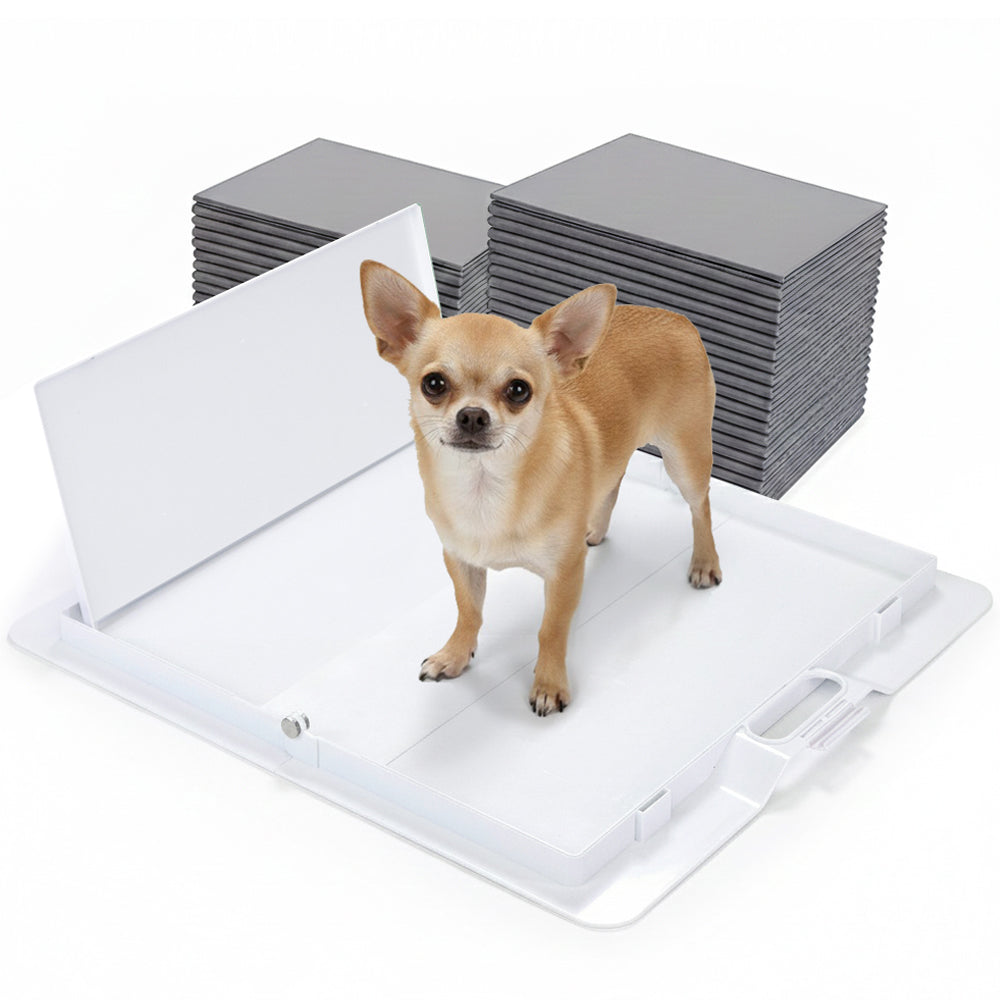 Potty Training Bundle