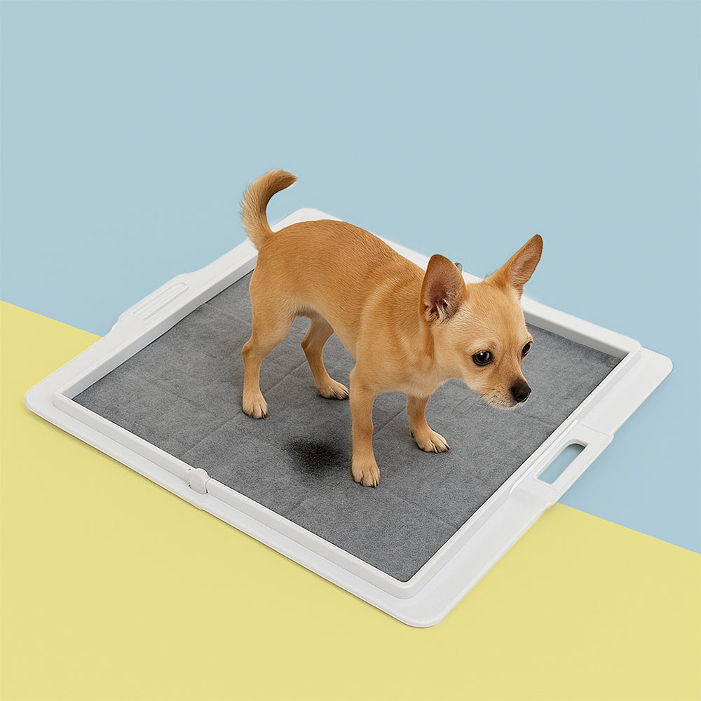 Pee PAWD® Pee Pad holder - KindTail