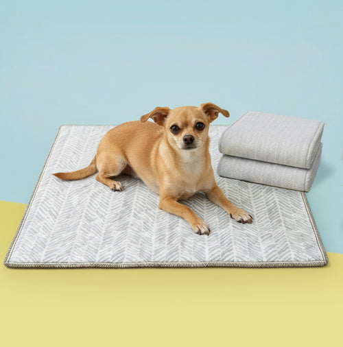 Lovewag Washable Dog Pee Pads