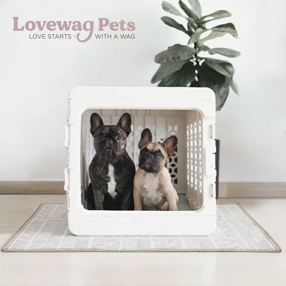 Lovewag Washable Dog Pee Pads - KindTail