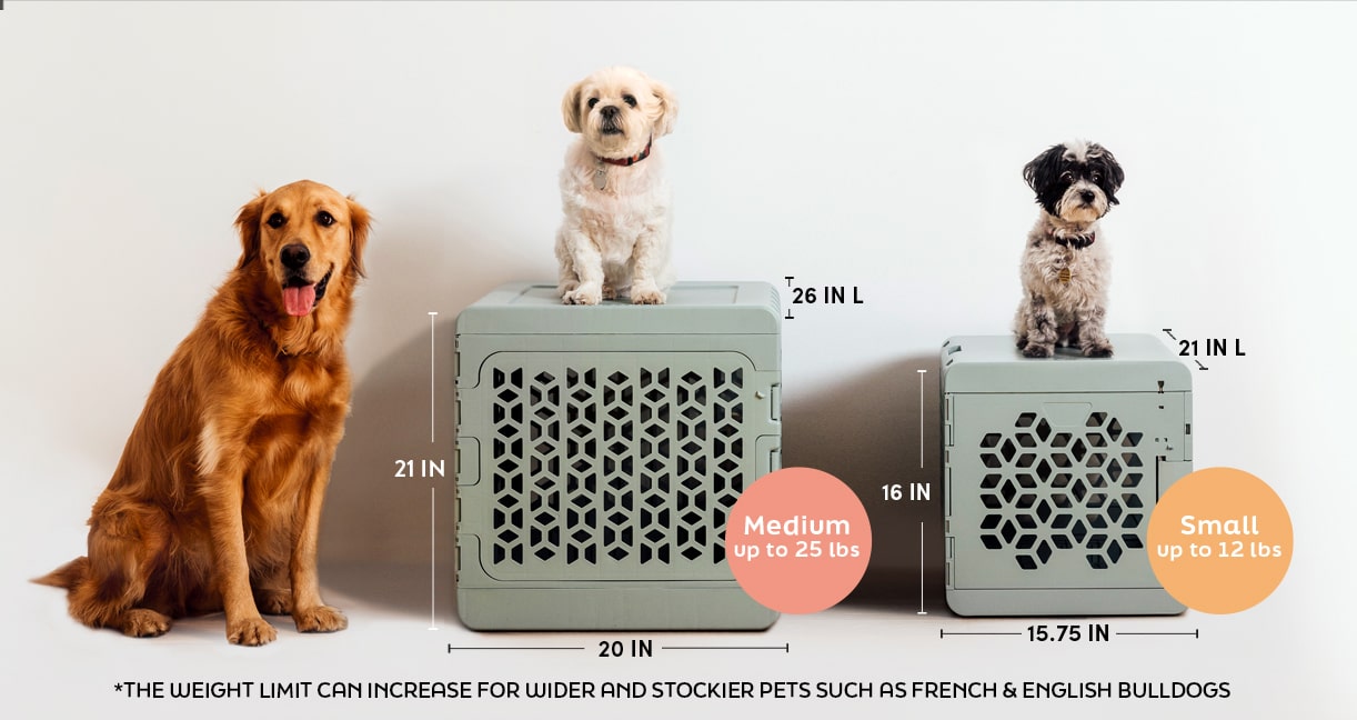 Shiba inu clearance crate size