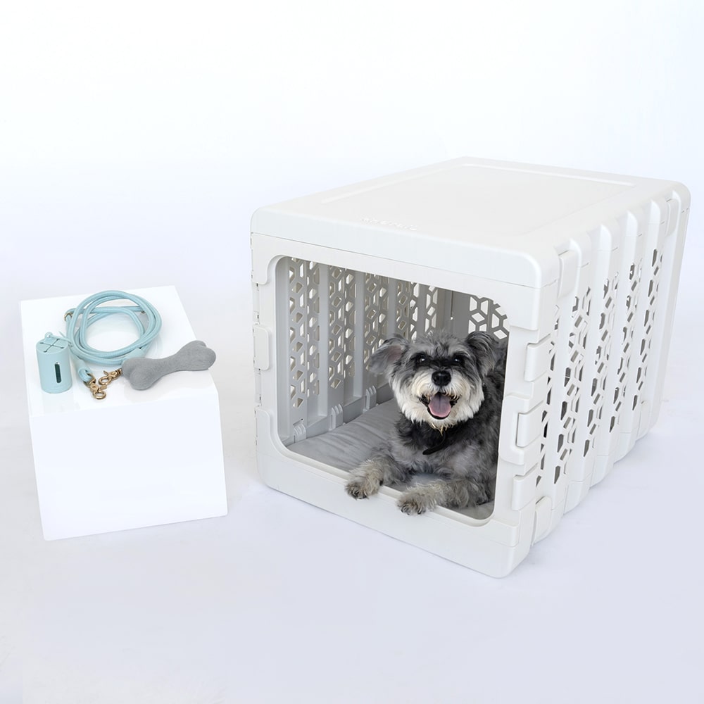 KindTail x Awoo Walk & Nest Bundle PAWD® | Modern Collapsible Plastic Dog & Pet Crate