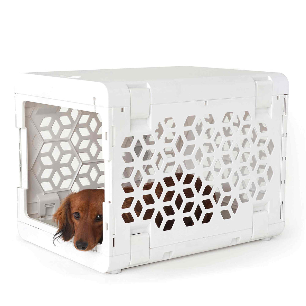 PAWD® Modern Collapsible Dog Crate