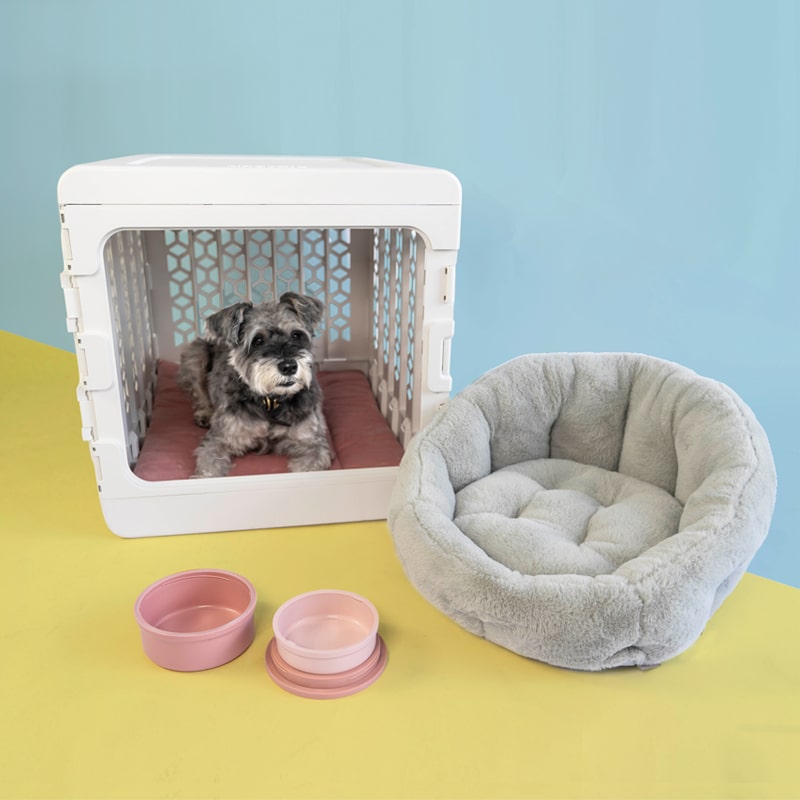 Puppy Training Bundle PAWD® | Modern Collapsible Plastic Dog &amp; Pet Crate