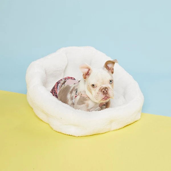 puppy lying down in a white plush dog bed