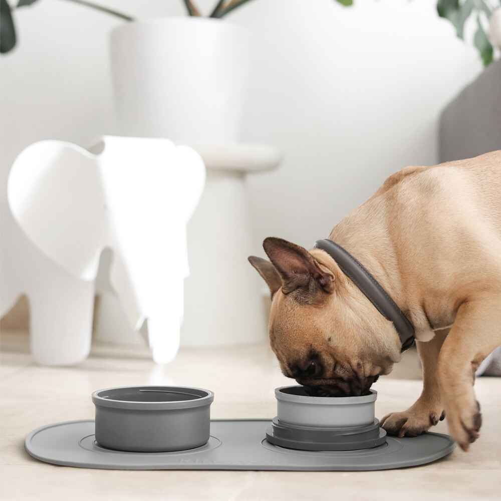 Portabowls | Portable travel & home dog bowl set