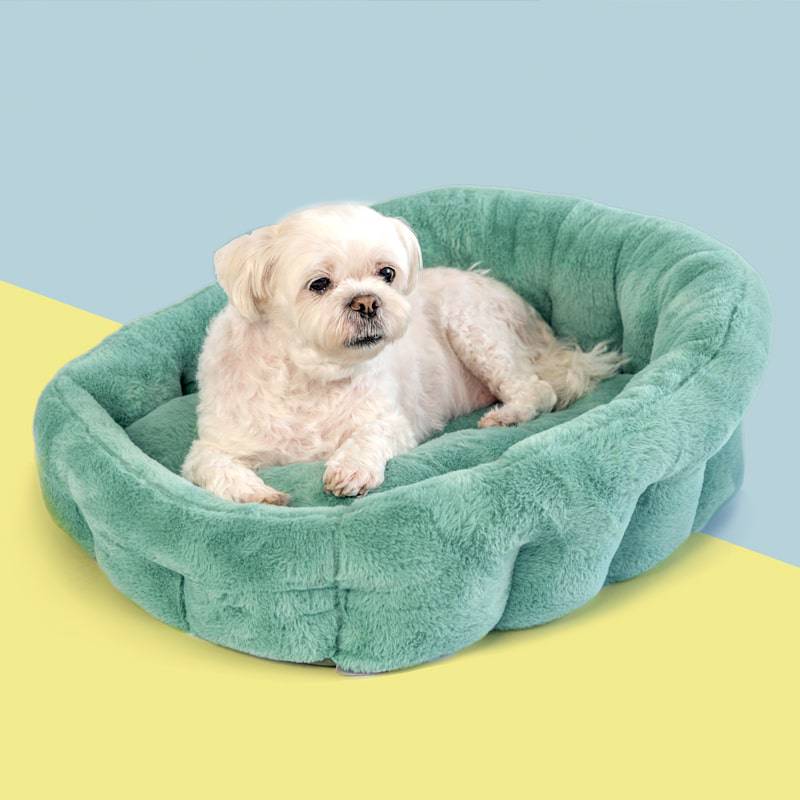 casual dress up dog bed Amazon.com : Bedsure ComfyFleece Cute Dog Beds Large Sized Dog