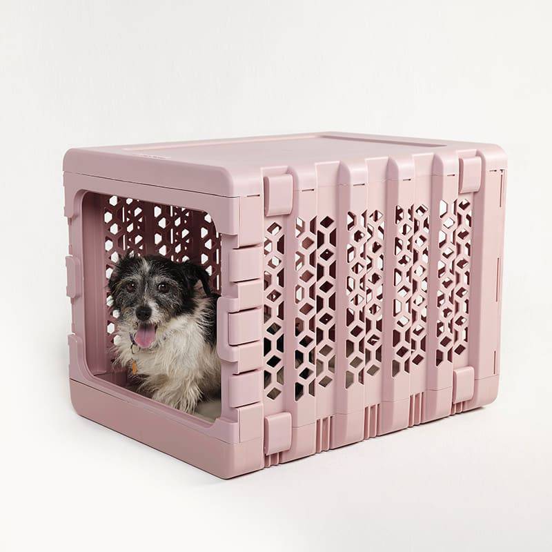 KINDTAIL’S PAWD® | Modern Collapsible Plastic Dog & Pet Crate - KindTail